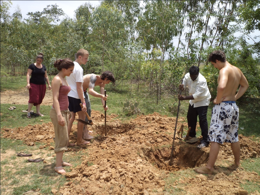 Volunteer Activity 3